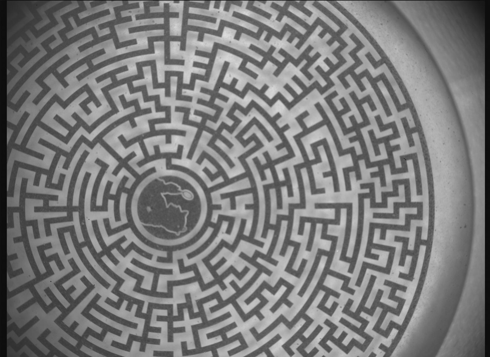 The Maze is Afoot