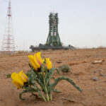 preflight flower