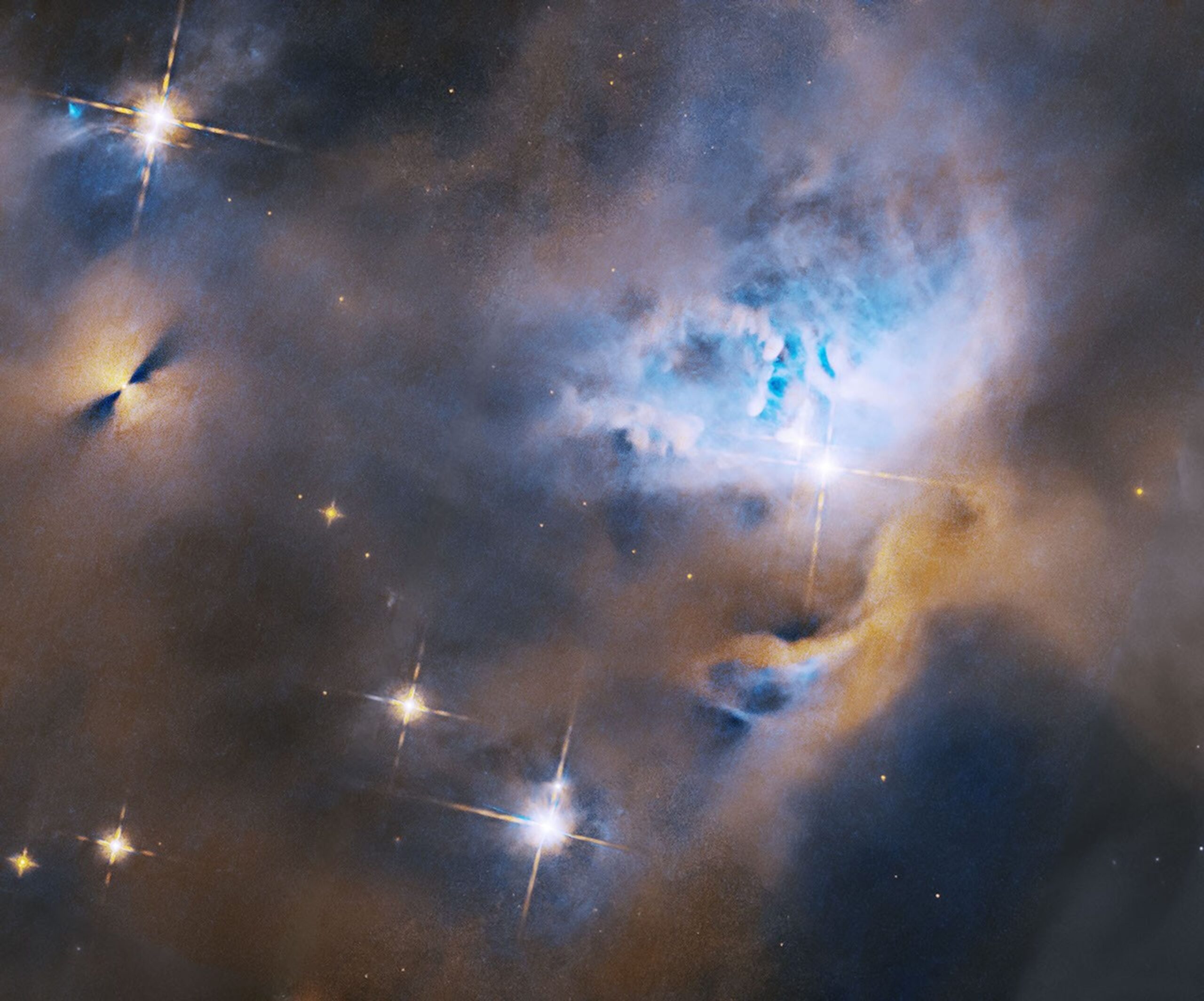 hubble nets menagerie of young stellar objects