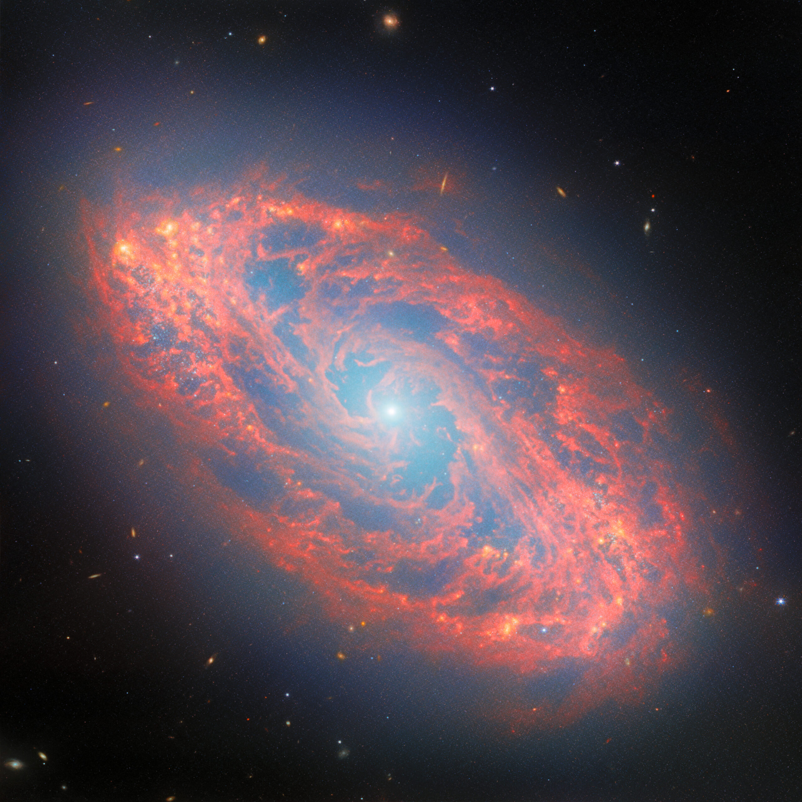 webb spots details in nearby spiral galaxy