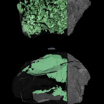 solving asteroid bennu's mysteries